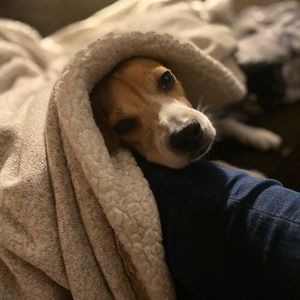 Meet your Posher, Alma